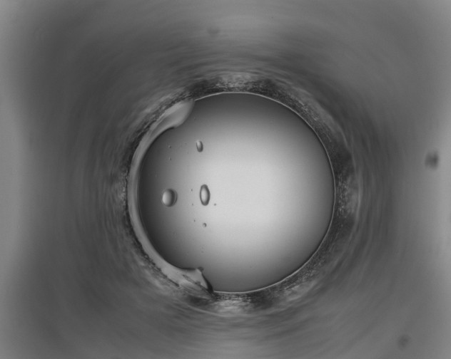 X0000097460505200802291239