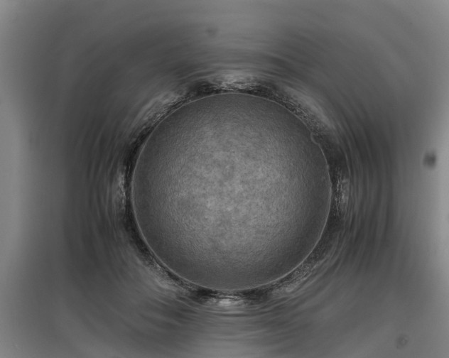 X0000097460506200802291239