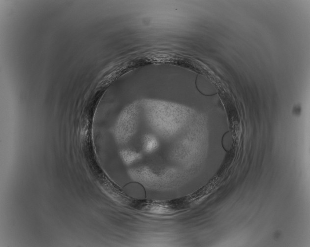 X0000097460507200802291239