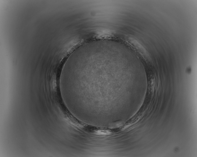 X0000097460508200802291239