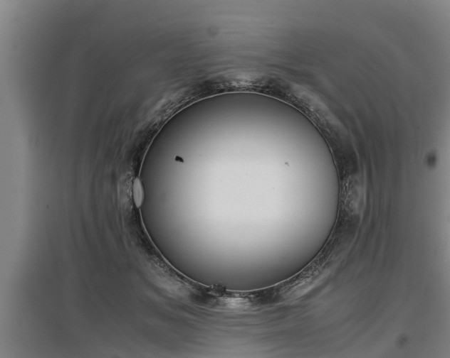 X0000097460509200802291239