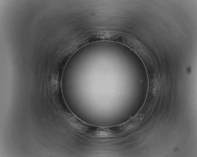 X0000097460510200802291239