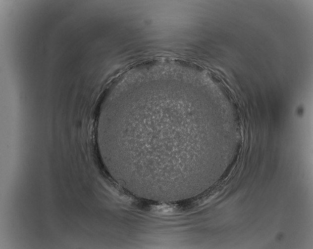 X0000097460511200802291239