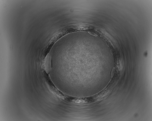 X0000097460512200802291239