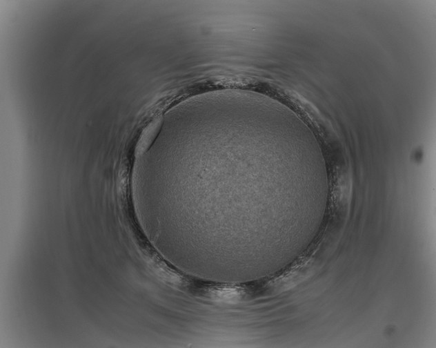 X0000097460513200802291239