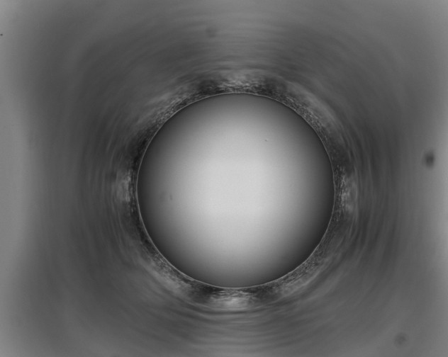 X0000097460514200802291239