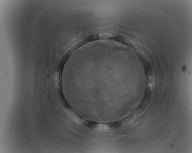 X0000097460519200802291239