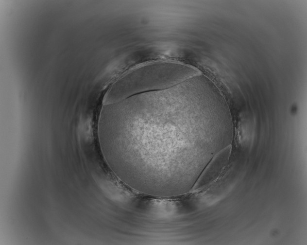 X0000097460520200802291239