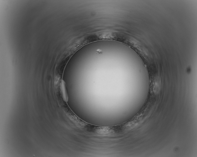 X0000097460521200802291239