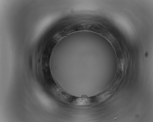 X0000097460526200802291239