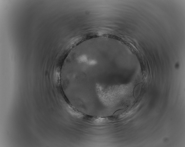 X0000097460527200802291239