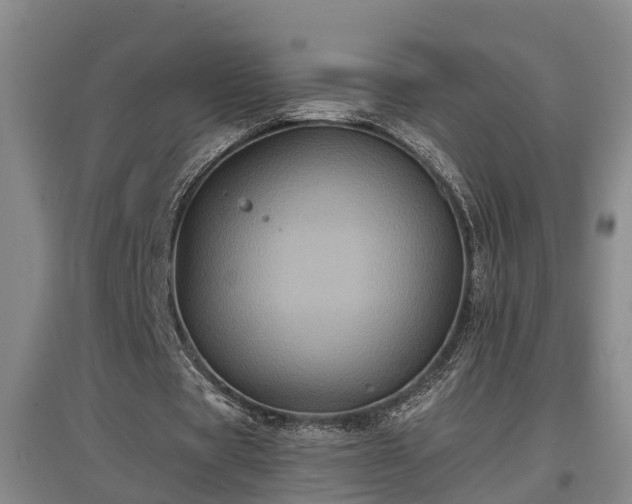 X0000097460529200802291238