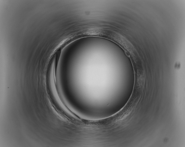 X0000097460530200802291238