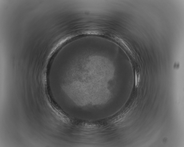 X0000097460531200802291238