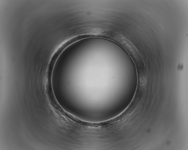 X0000097460532200802291238