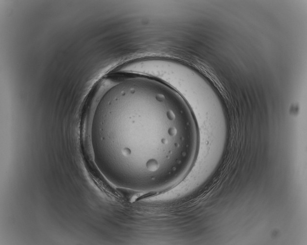 X0000097460534200802291238