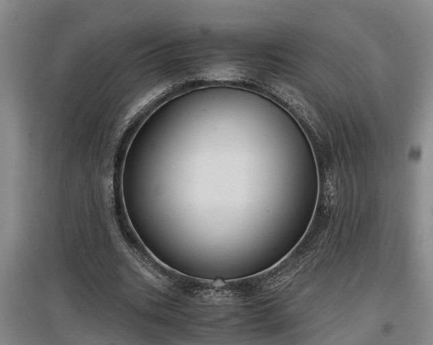 X0000097460535200802291238