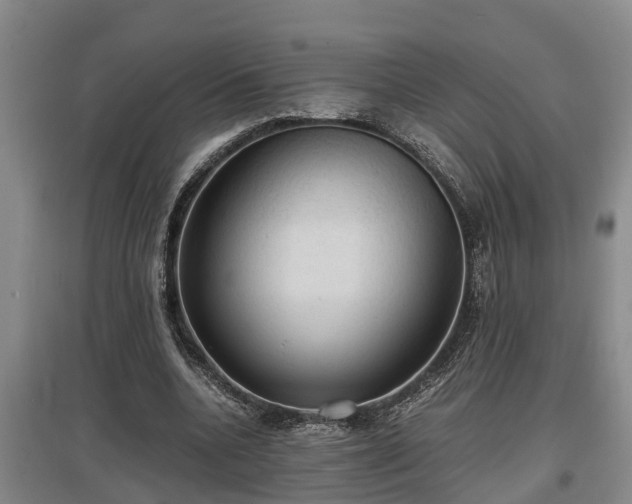 X0000097460536200802291238