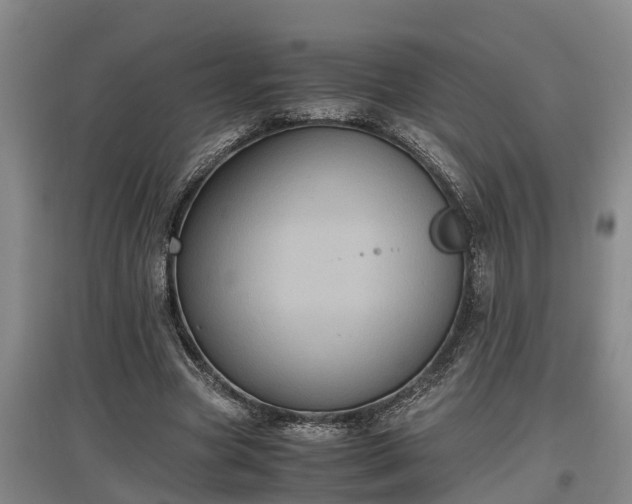 X0000097460537200802291238