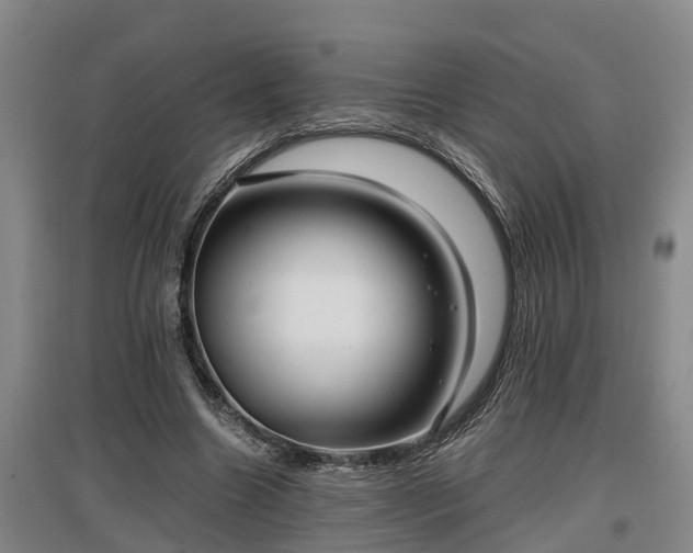 X0000097460538200802291238