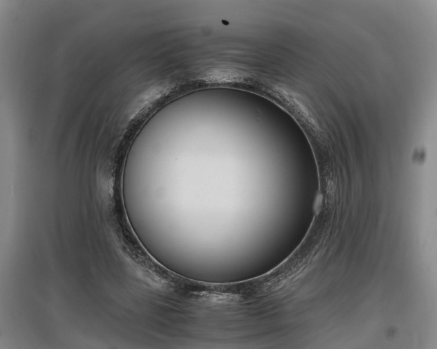 X0000097460539200802291238