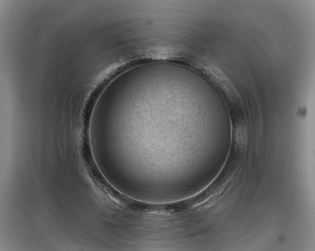 X0000097460540200802291238