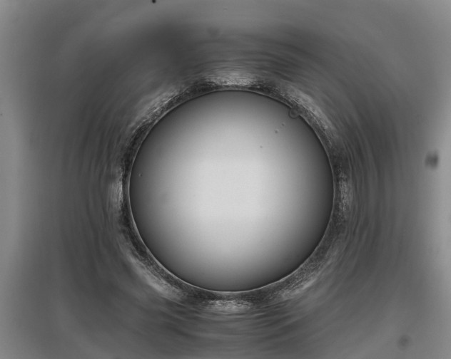 X0000097460541200802291238