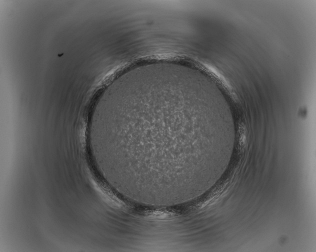 X0000097460542200802291238