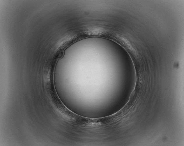 X0000097460543200802291238