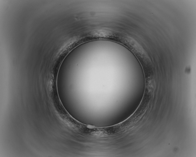 X0000097460544200802291238