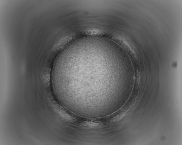 X0000097460545200802291239