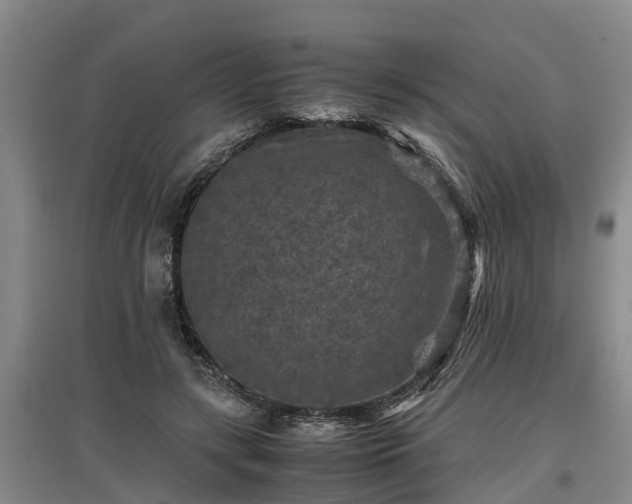 X0000097460547200802291239