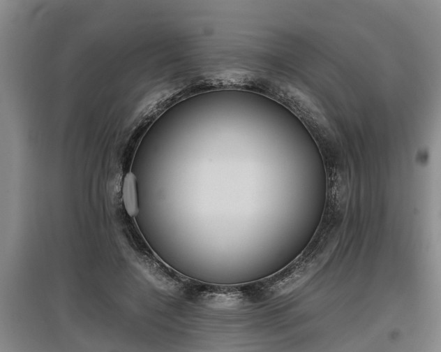 X0000097460548200802291239