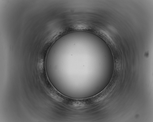 X0000097460549200802291239