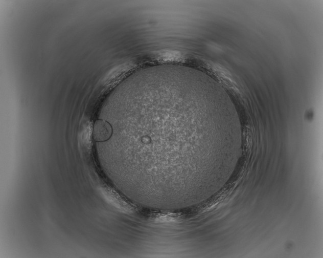 X0000097460550200802291239