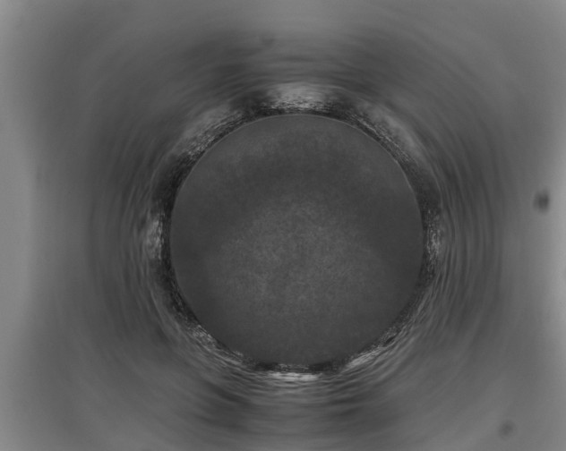 X0000097460551200802291239