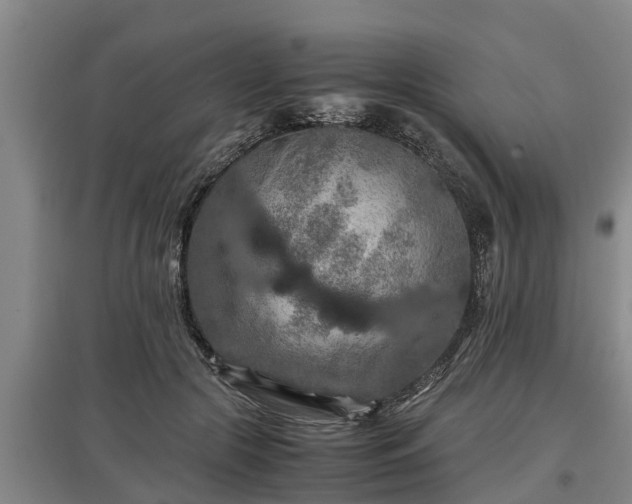 X0000097460553200802291239