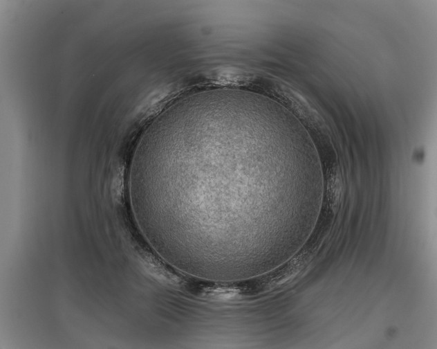 X0000097460554200802291239