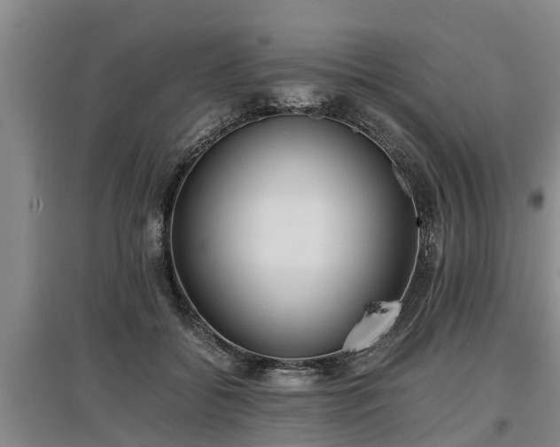 X0000097460556200802291239