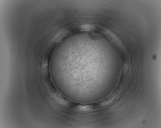 X0000097460557200802291239