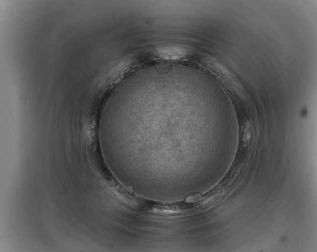 X0000097460559200802291239