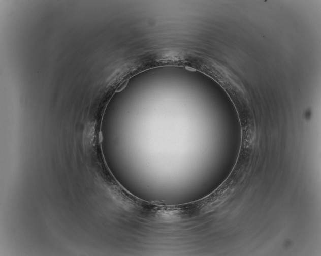 X0000097460560200802291239