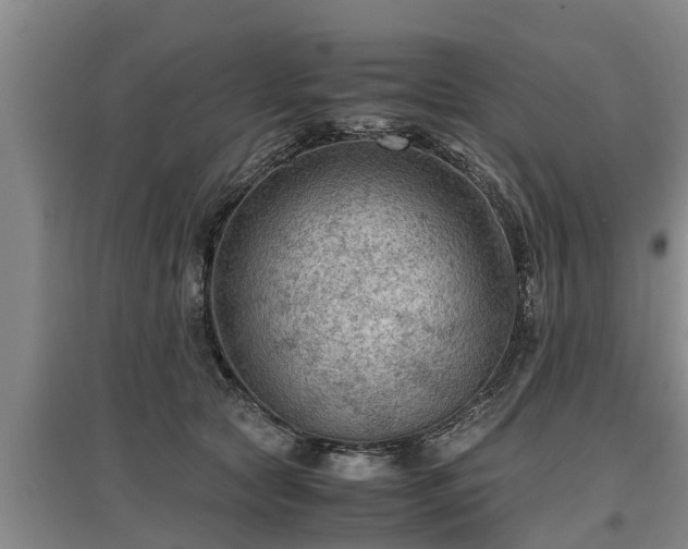 X0000097460561200802291239