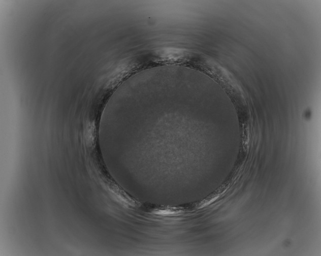 X0000097460563200802291239