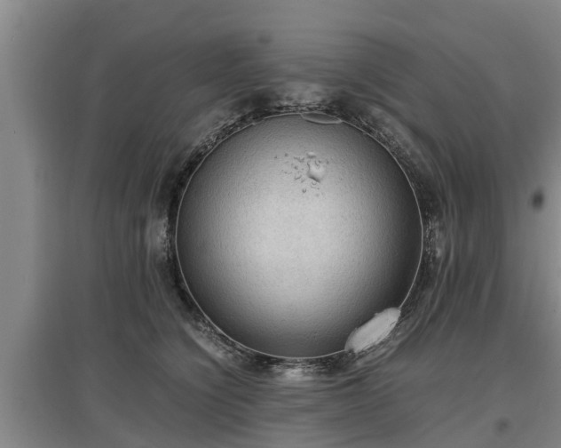 X0000097460564200802291239