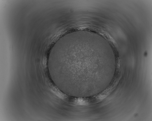 X0000097460565200802291239