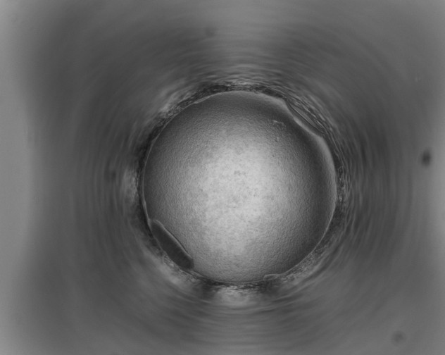 X0000097460568200802291239