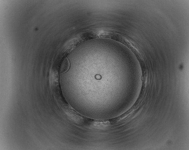 X0000097460571200802291239