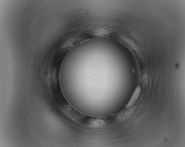 X0000097460572200802291239