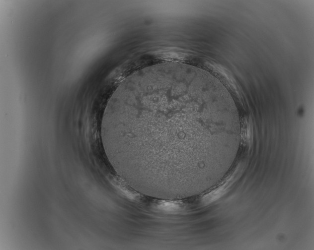 X0000097460573200802291239